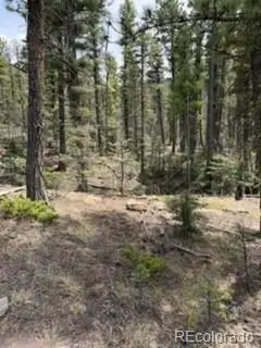 Lot 2711 Sleger Road, Fort Garland, CO 81133 - #2
