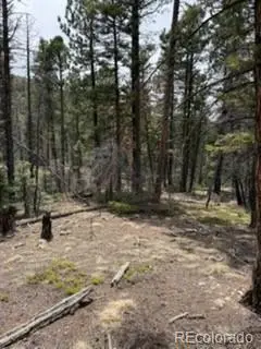 Lot 2711 Sleger Road, Fort Garland, CO 81133 - #3