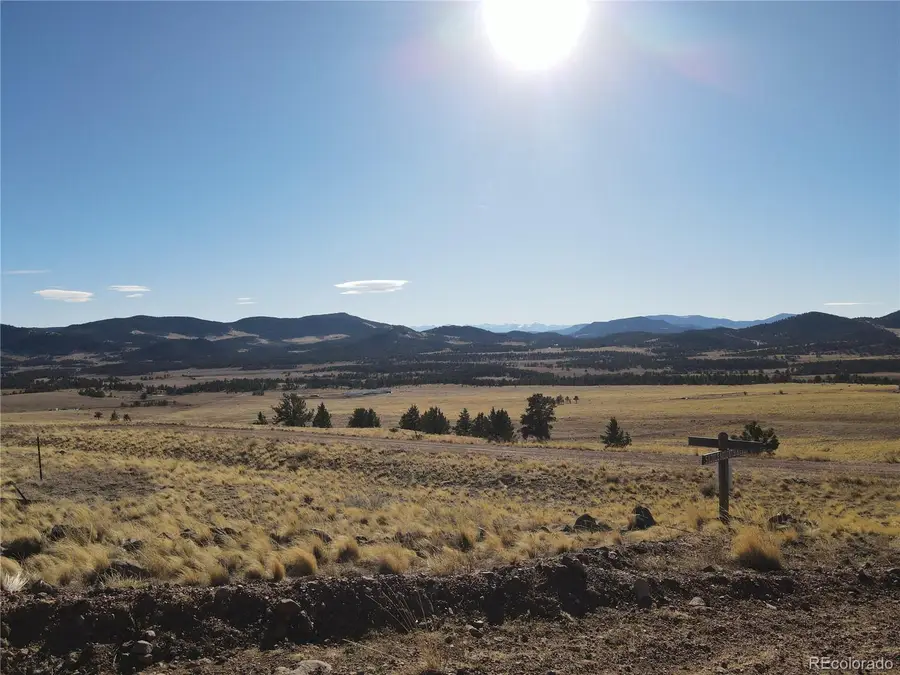 341 Lakeview Trail, Guffey, CO 80820 - Image #3
