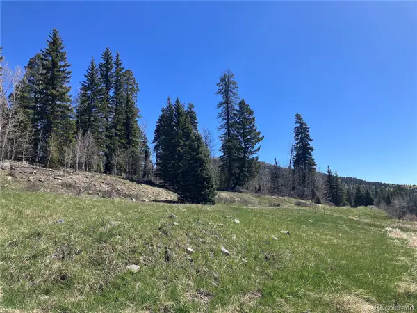 222 Lost Valley Drive, Creede, CO 81130