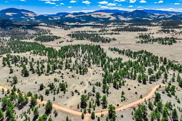 422 Buck Drive, Guffey, CO 80820