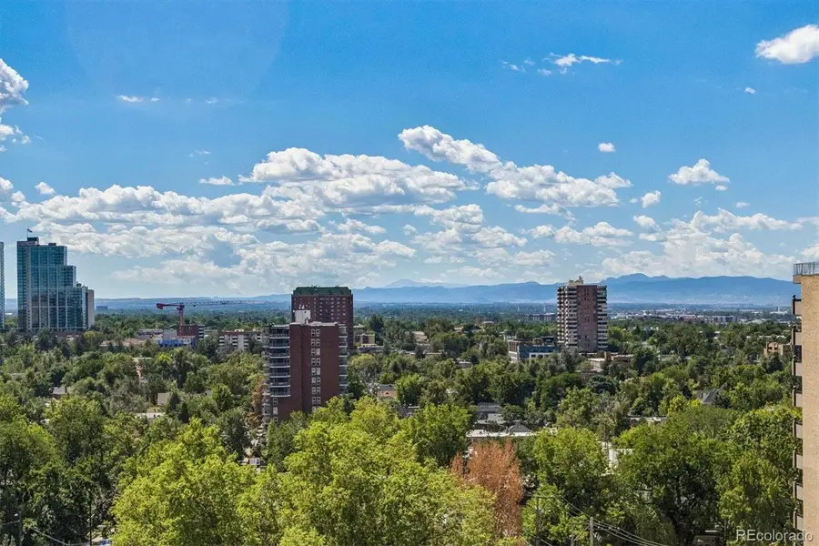 789 N Clarkson Street #1006, Denver, CO 80218 - #3