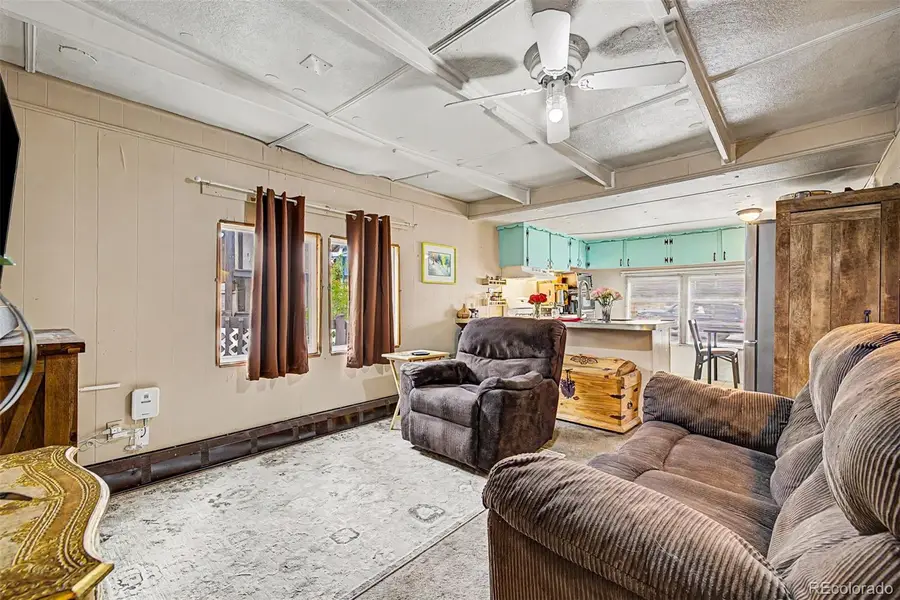 215 Cheyenne Street, Golden, CO 80403 - #3