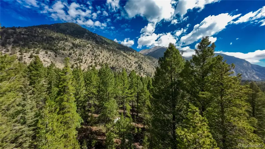 22297 County Road 292d, Nathrop, CO 81236 - #3