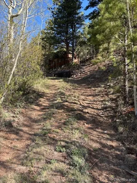 #3