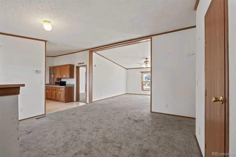 1711 Witcher Mountain Road, Guffey, CO 80820 - Image #3