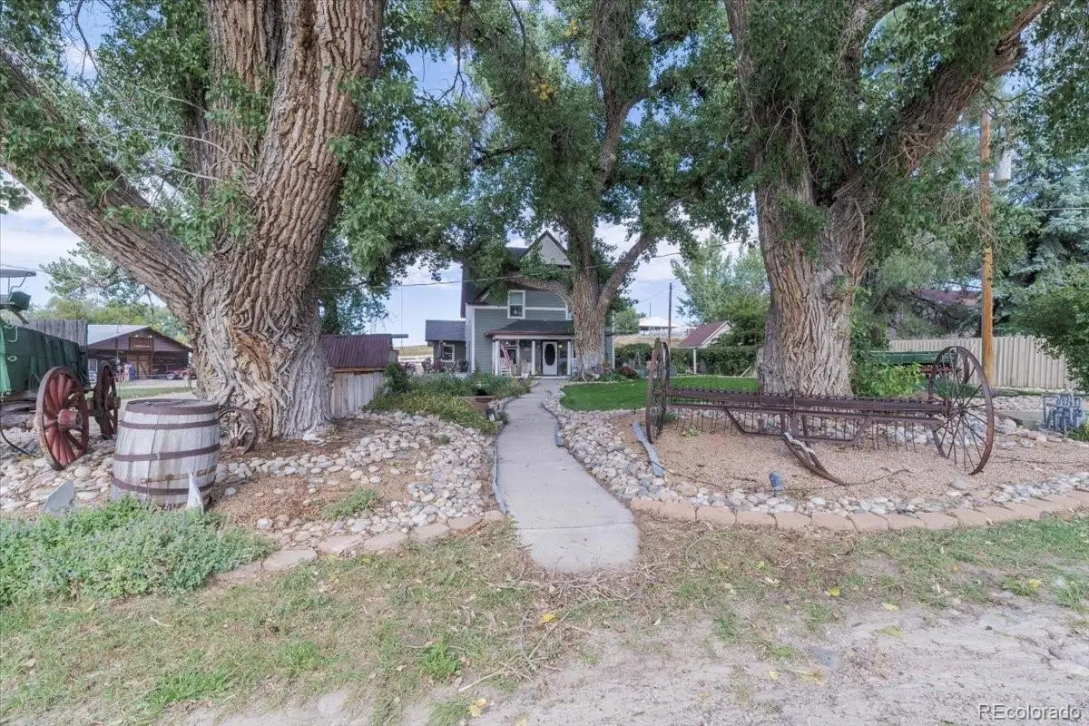 213 Cheyenne Street, Kiowa, CO 80117 - #1