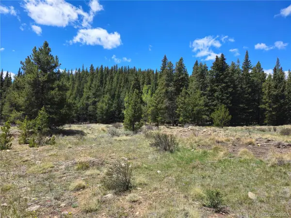 Looney Lane, Fairplay, CO 80440