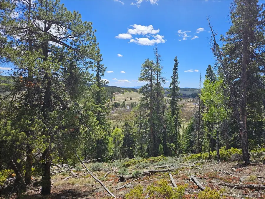 Looney Lane, Fairplay, CO 80440 - #2