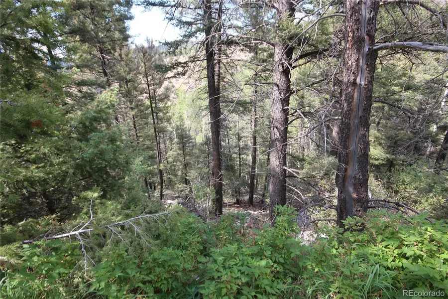 LOT 6401 Ryland Road, San Luis, CO 81152 - #3