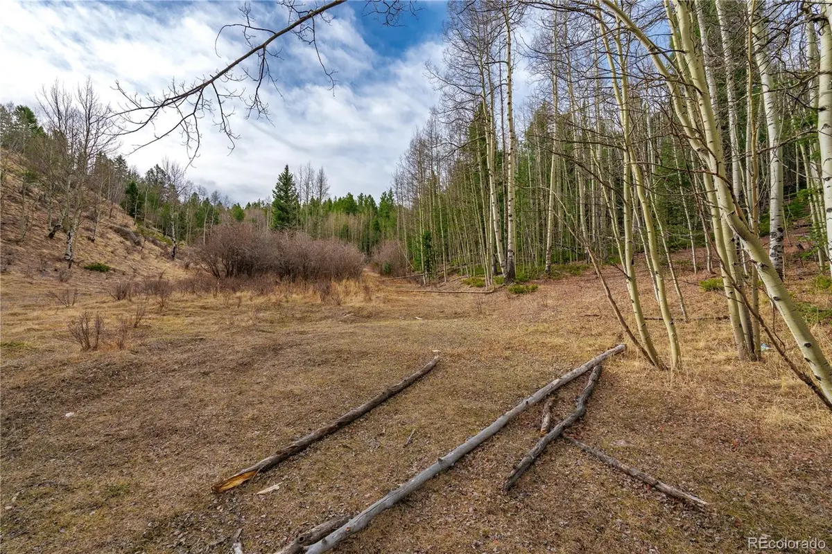 130 Grey Eagle Way, Cripple Creek, CO 80813 - #1