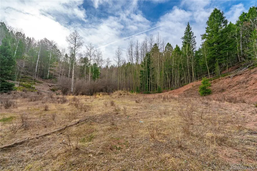 130 Grey Eagle Way, Cripple Creek, CO 80813 - #2