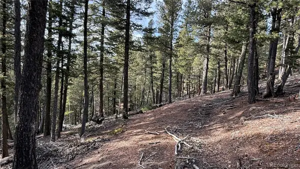 461 Paradiso Road, Divide, CO 80814