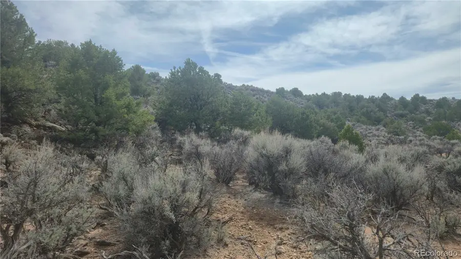 0 Bilby Road, Fort Garland, CO 81133 - #3