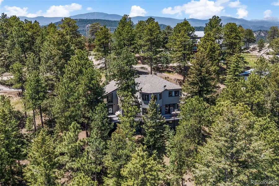 6159 S Skyline Drive, Evergreen, CO 80439 - #3