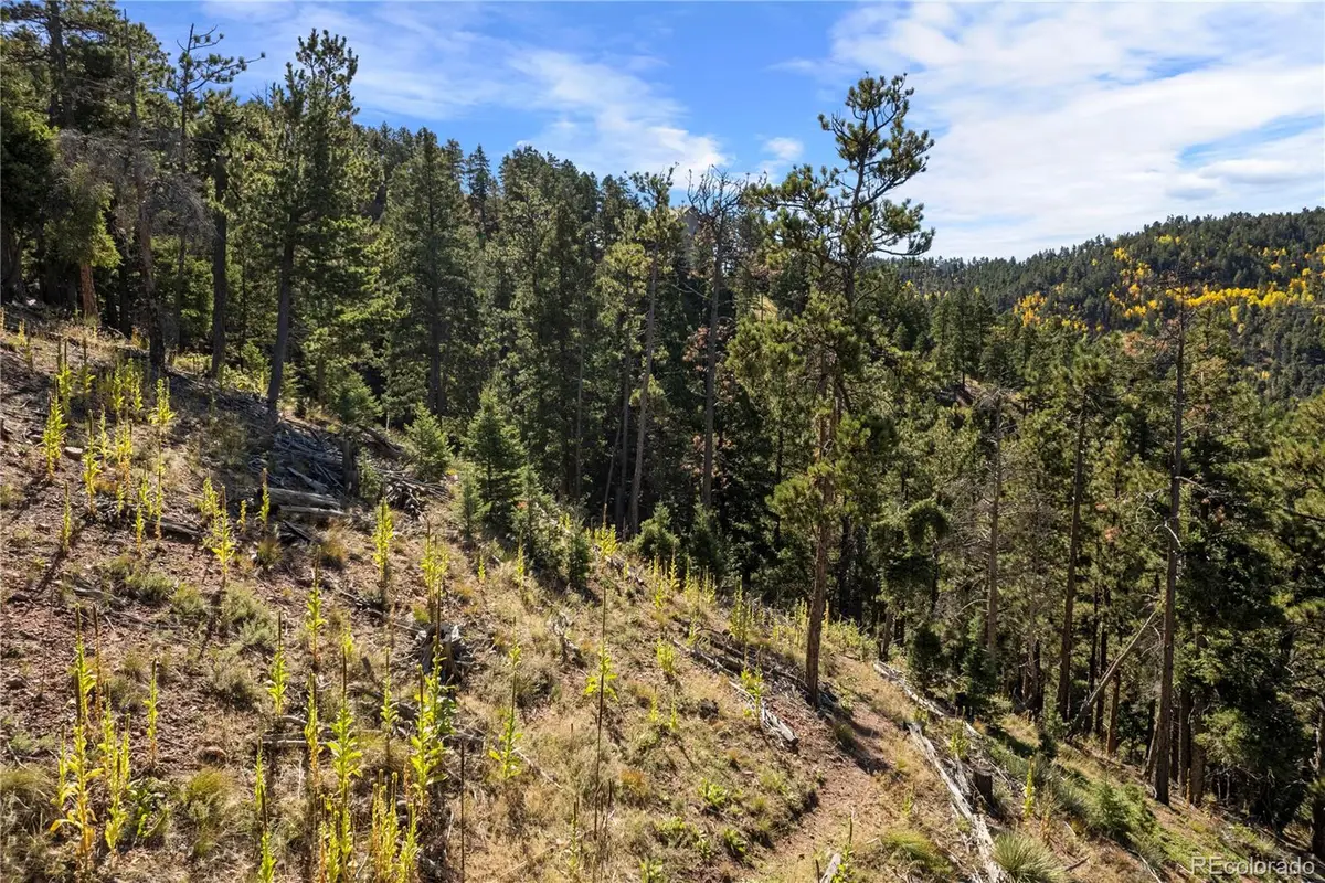 13126 Andiron, Larkspur, CO 80118 - #1