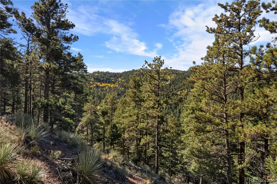 13126 Andiron, Larkspur, CO 80118 - #3