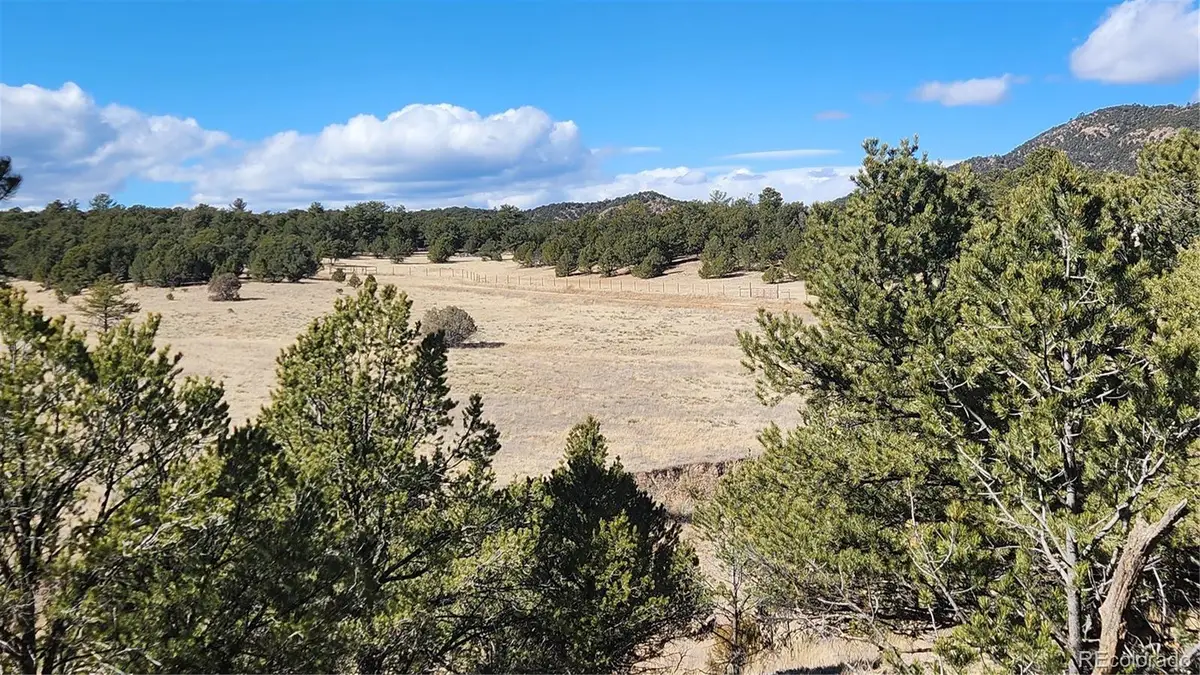 311 Kit Carson Trail, Cotopaxi, CO 81223 - #1