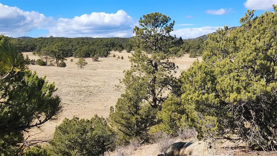 311 Kit Carson Trail, Cotopaxi, CO 81223 - #2