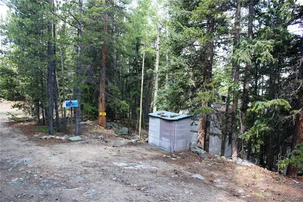 Lot 18 Hidden Wildernes Road, Idaho Springs, CO 80461