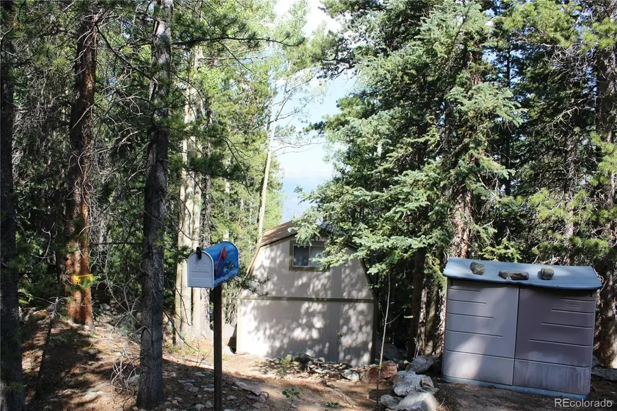 Lot 18 Hidden Wildernes Road, Idaho Springs, CO 80461 - #2