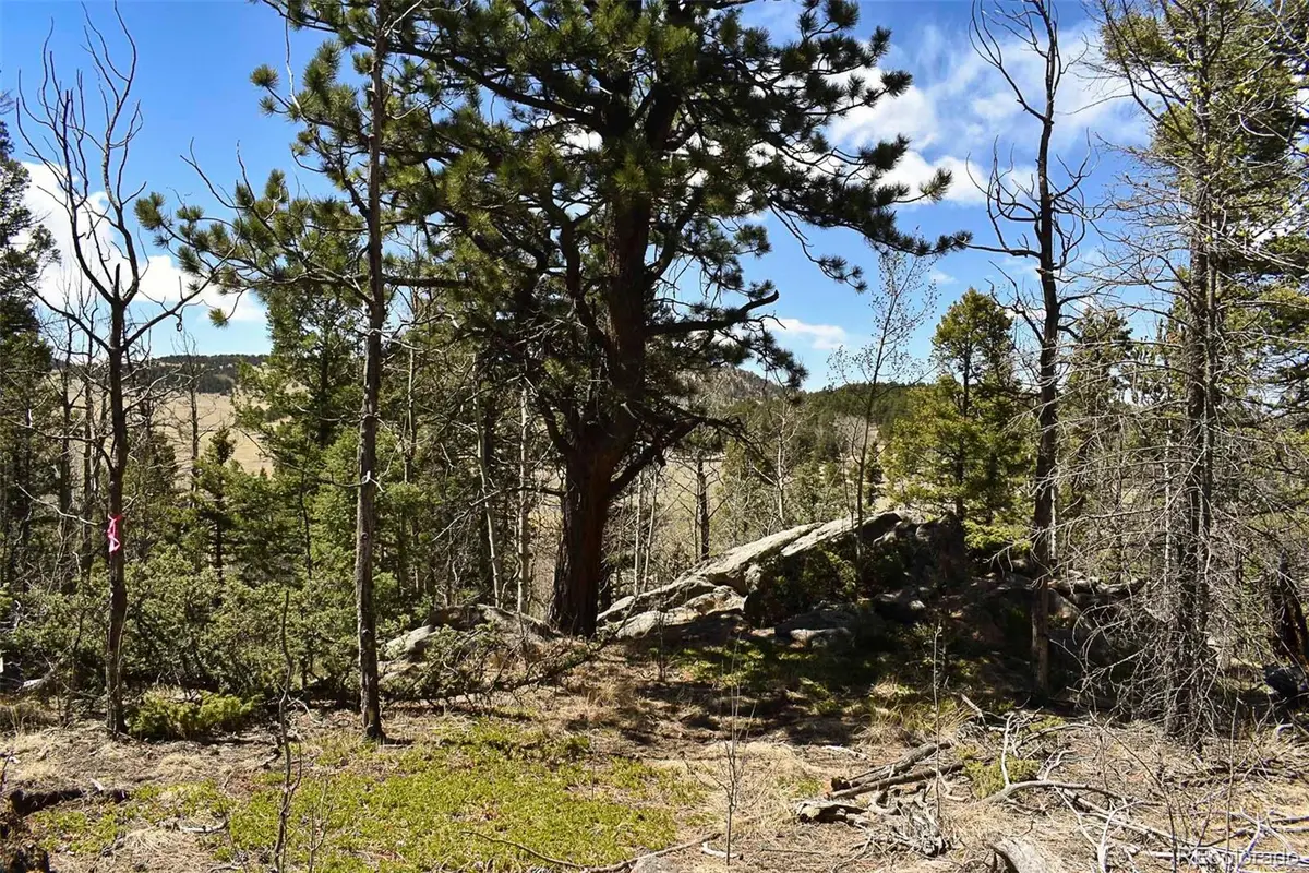 289 Timberline Drive, Guffey, CO 80820 - #1