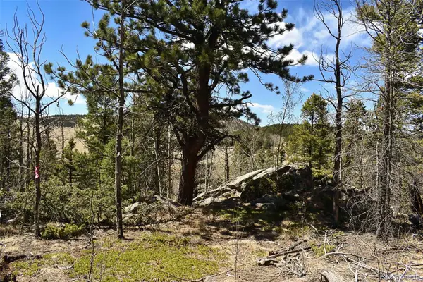 289 Timberline Drive, Guffey, CO 80820