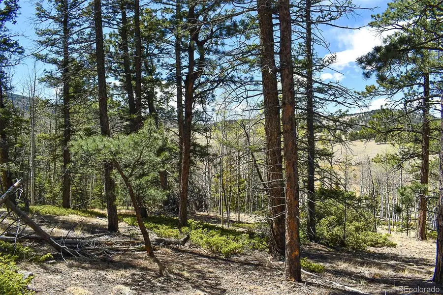 289 Timberline Drive, Guffey, CO 80820 - #2