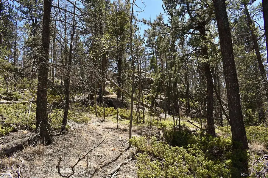 289 Timberline Drive, Guffey, CO 80820 - #3