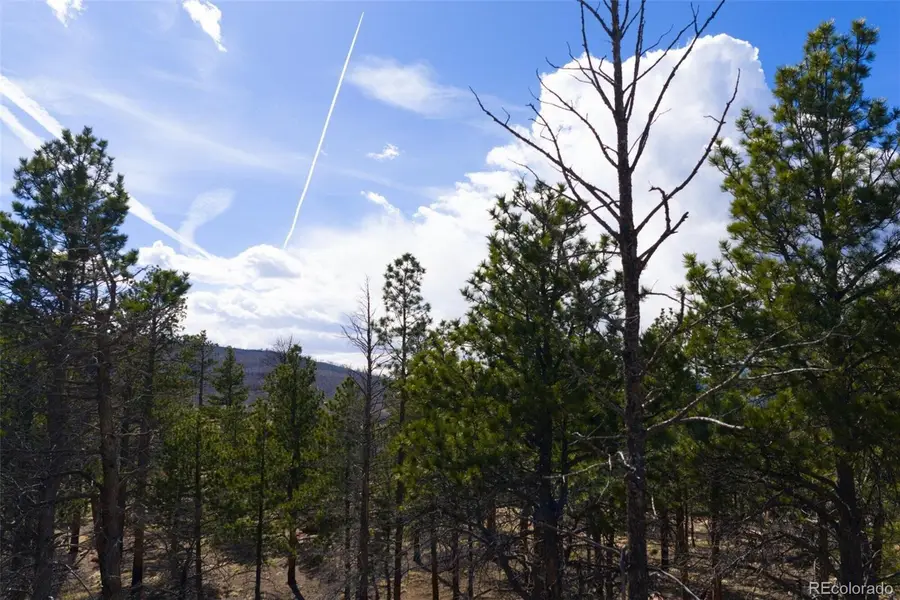 758 Marriott Circle, Fort Garland, CO 81133 - #3