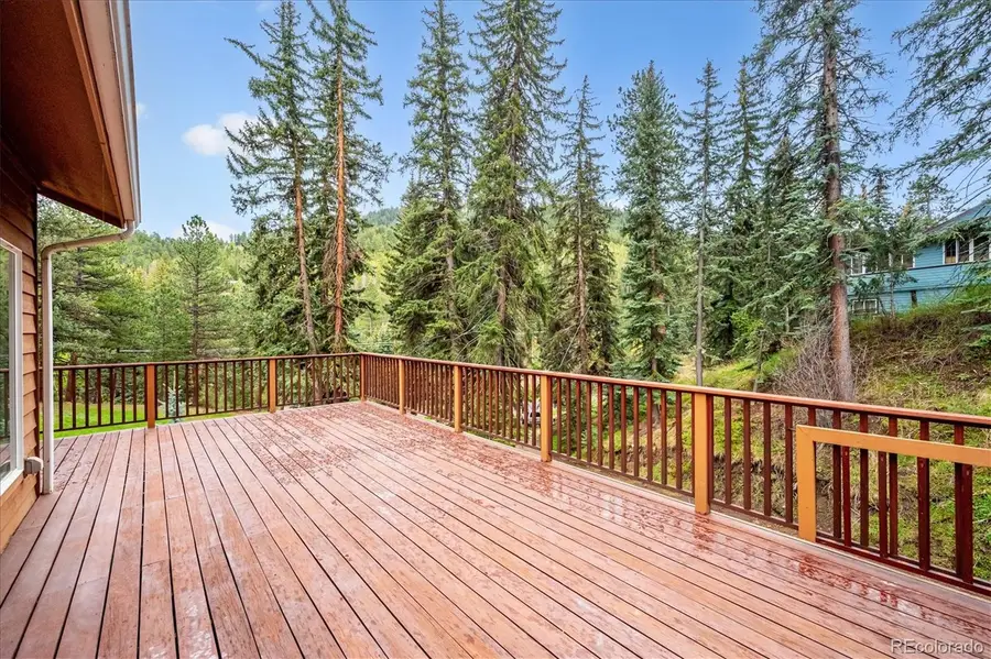 6747 S Brook Forest Road, Evergreen, CO 80439 - #3
