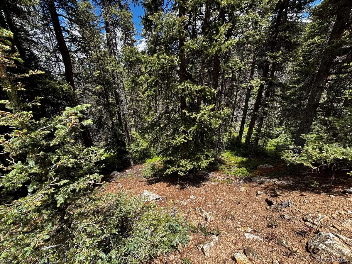 00 Forbes Rd, Fort Garland, CO 81133 - #1