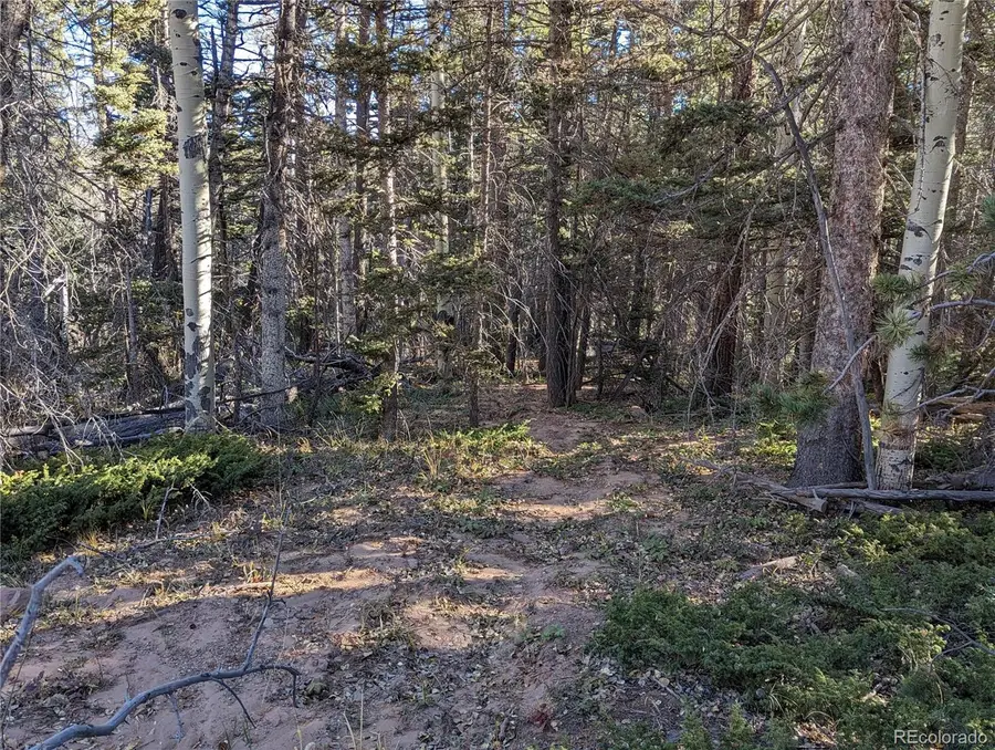 3067 Forbes Park Loop, Fort Garland, CO 81133 - #2