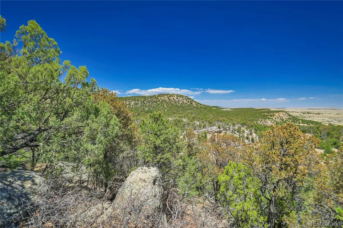 Rikki Rowdy Place, Aguilar, CO 81020 - #1