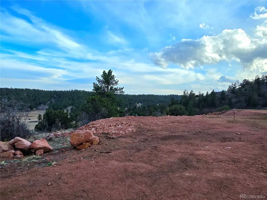 204 Pine Road, Florissant, CO 80816 - #3