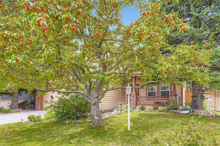 15904 Stonebriar Drive, Parker, CO 80134 - #2