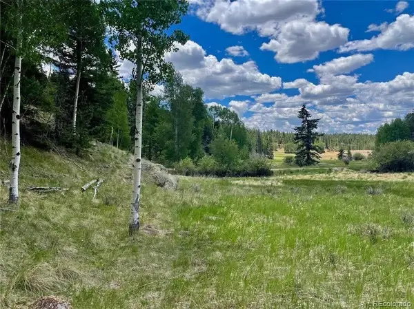 458 Arrowhead Road, Florissant, CO 80816