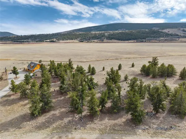 1798 Mullenville Road, Fairplay, CO 80440