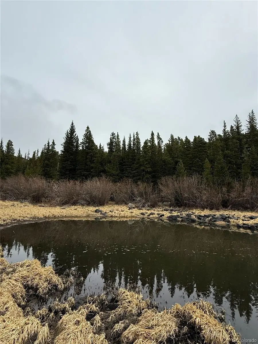 91 Lake Road, Idaho Springs, CO 80452 - #1