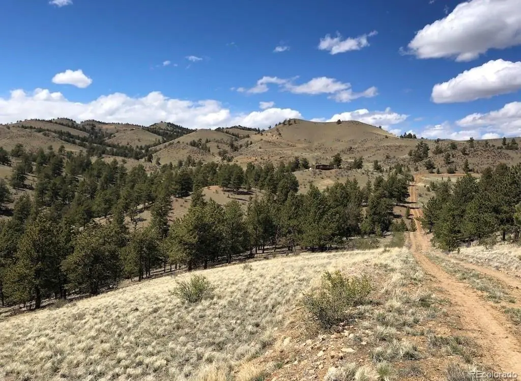 Lot 41 Willow Street, Hartsel, CO 80449 - #1