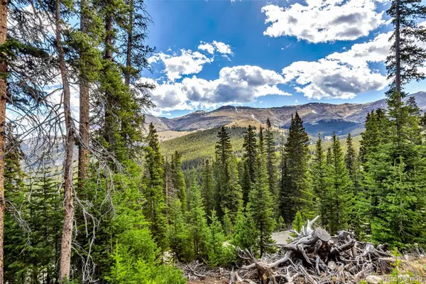 413 Carroll Lane, Breckenridge, CO 80424