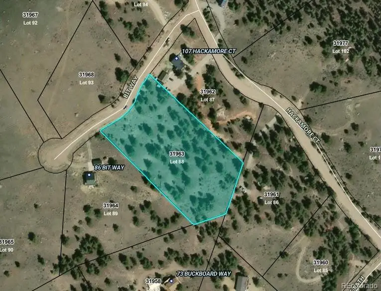 52 Bit Way, Hartsel, CO 80449 - #2