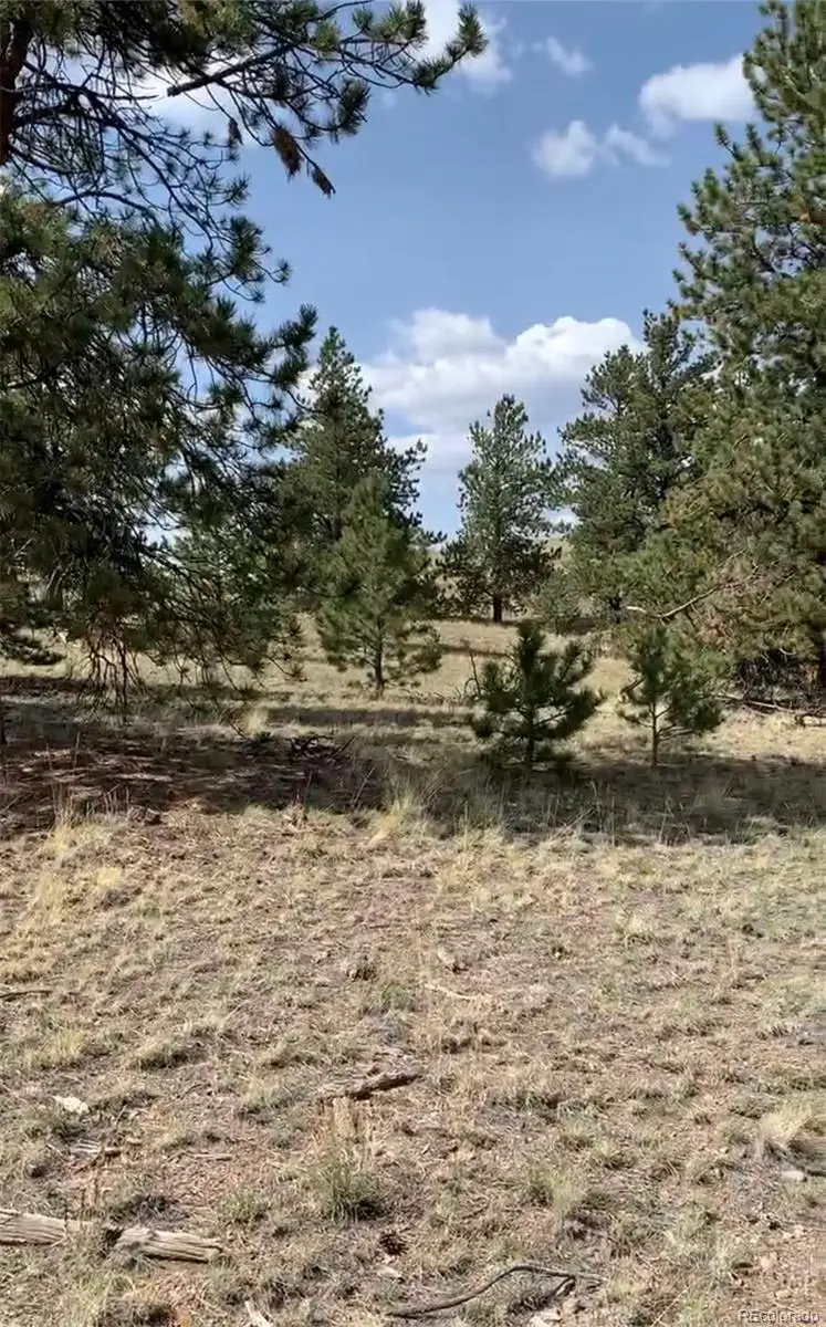 52 Bit Way, Hartsel, CO 80449 - #3