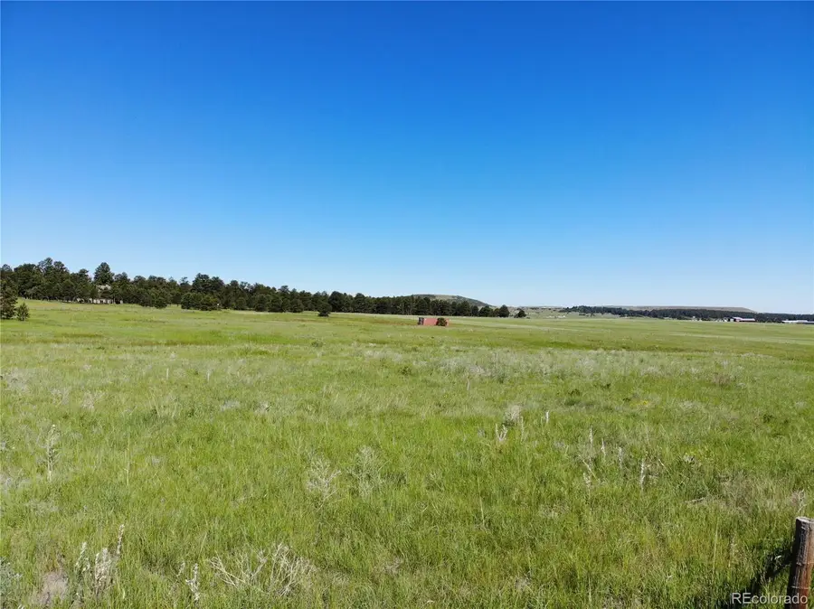 15599 Arfsten Road, Larkspur, CO 80118 - #3