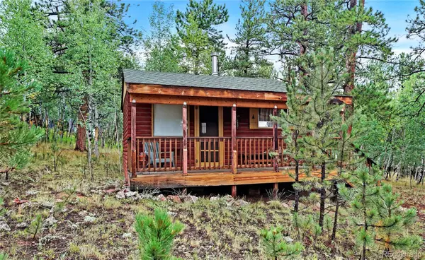 109 Wolf, Bailey, CO 80421