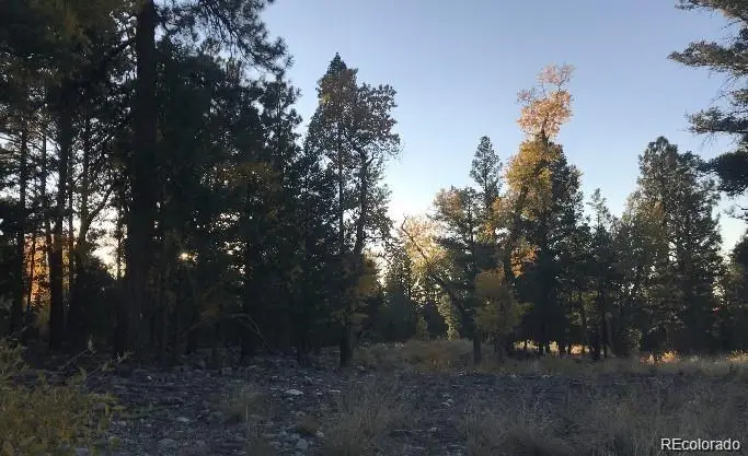 109 109 Deer Run Run, Mosca, CO 81146 - #2