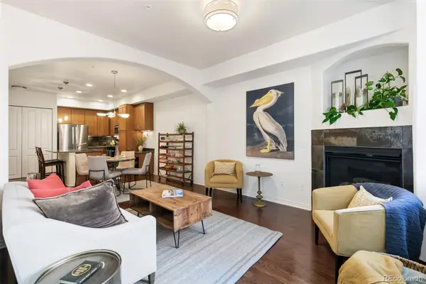 1100 N Grant Street #306, Denver, CO 80203