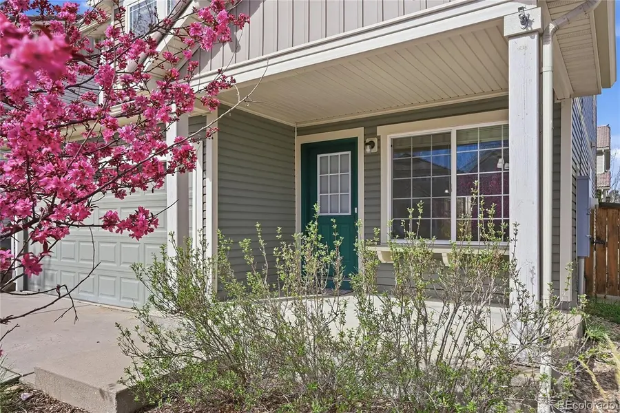 2075 Quartz Street, Castle Rock, CO 80109 - #3