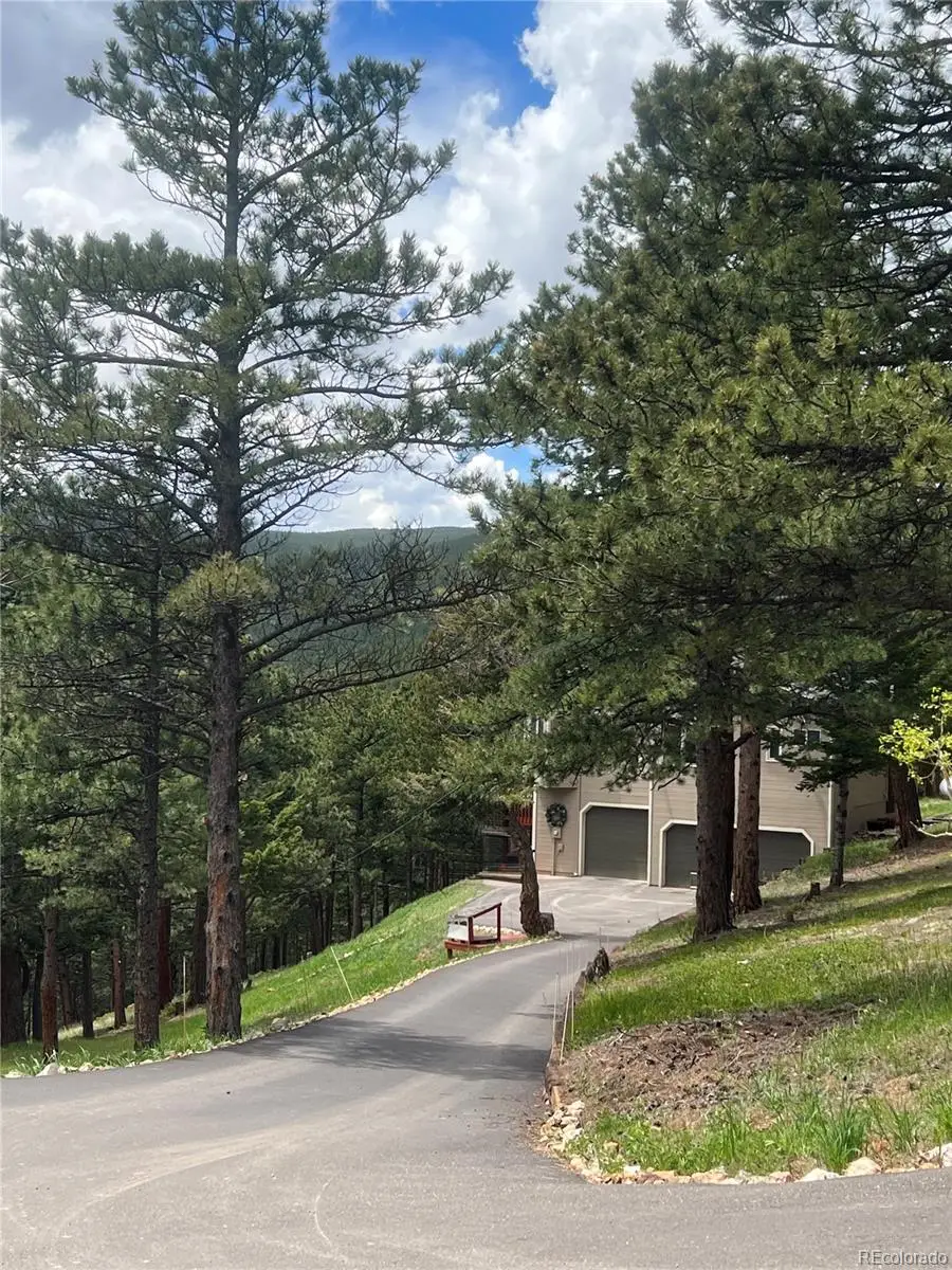 140 County Road 128n, Nederland, CO 80466 - #1