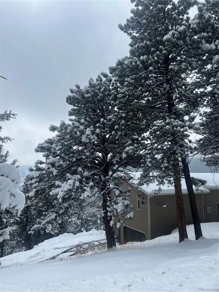 140 County Road 128n, Nederland, CO 80466 - #3